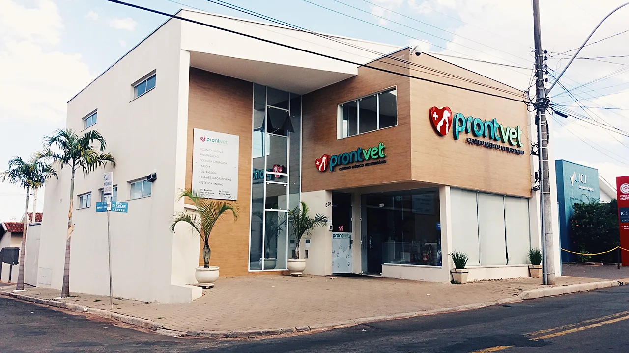 Imagem principal