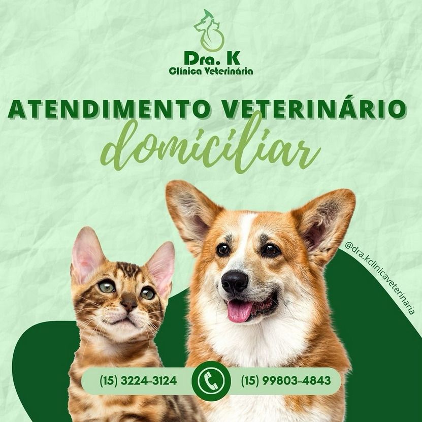 Post no Instagram de centroprontvet